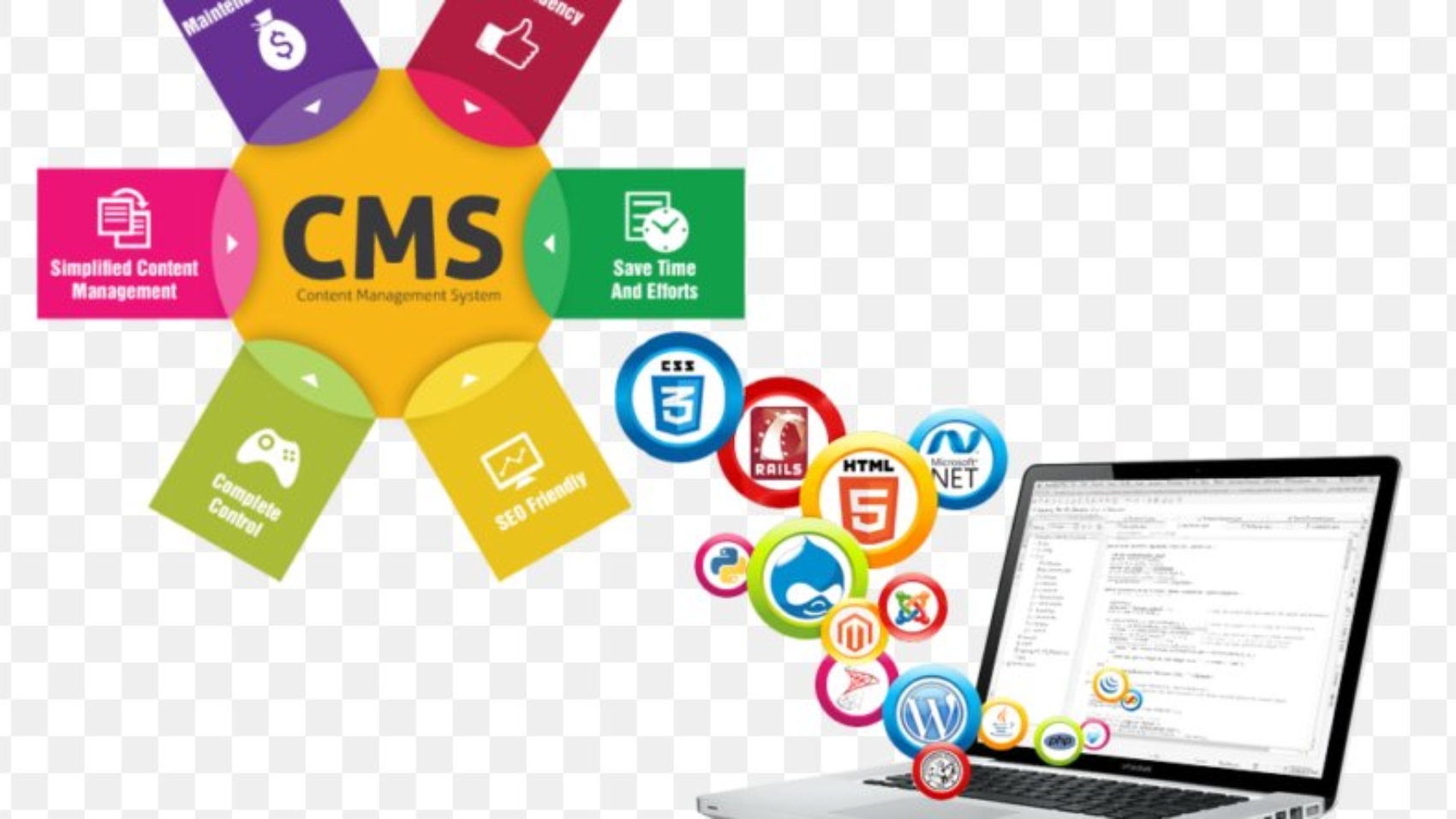 Learning CMS for Website Development in Pakistan