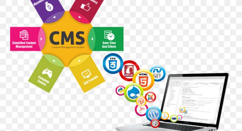 Learning CMS for Website Development in Pakistan